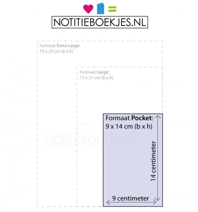 Pocket Notebook Hardcover Gelinieerd | Moleskine-173
