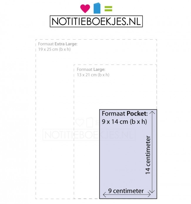 Pocket Notebook Set of 3 Cahier Journal Kraft | Moleskine-1177